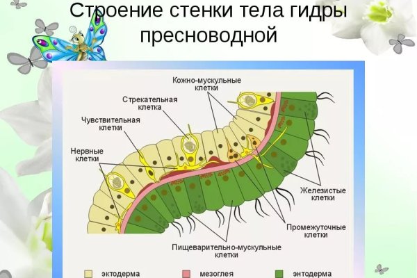 Кракен ссылка тор