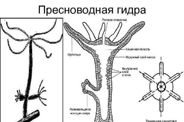 Как войти в кракен