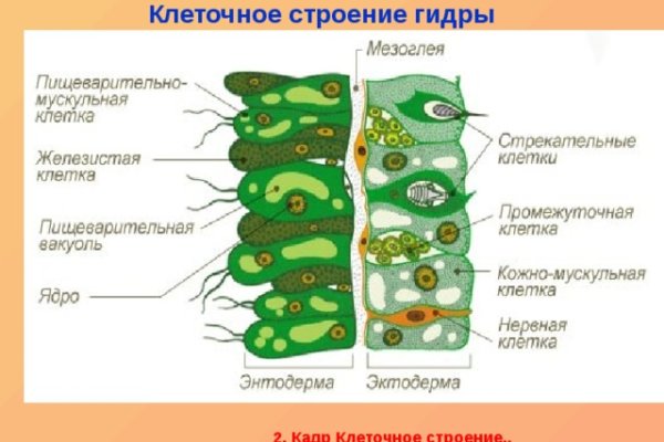 Ссылка кракен зеркало тор