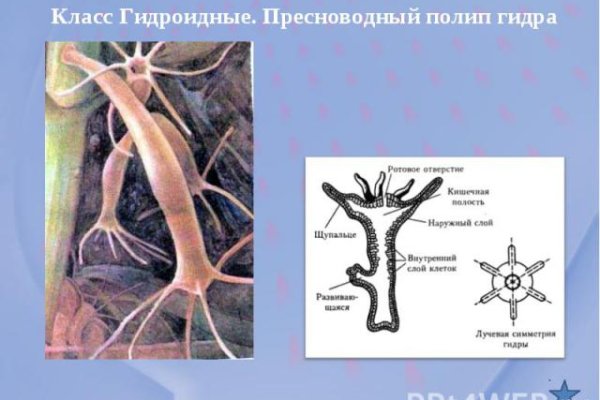 Пополнить кошелек кракен